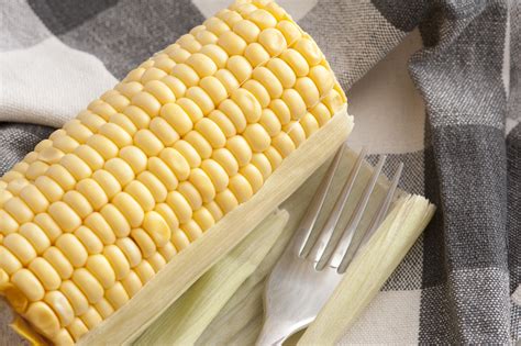 Uncooked sweet corn on the cob - Free Stock Image