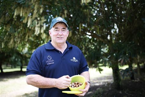 Macadamia Growers Celebrate Bumper Season Bundaberg Now