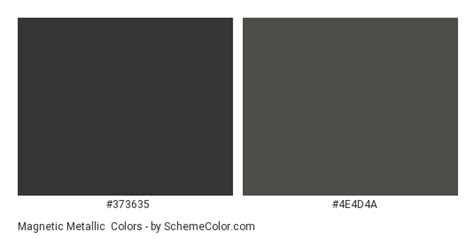 Magnetic Metallic Color Scheme Gray