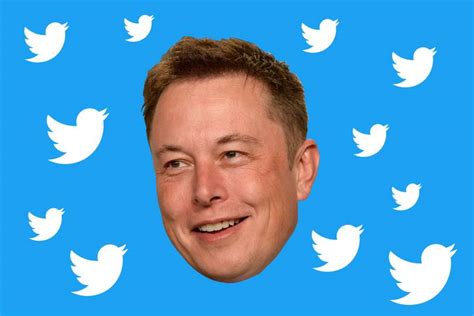 Mr musk has previously spoken out about cryptocurrency scams on twitter, which have plagued his twitter account for almost a year. Why can't Twitter stop Elon Musk bitcoin scams? It's ...