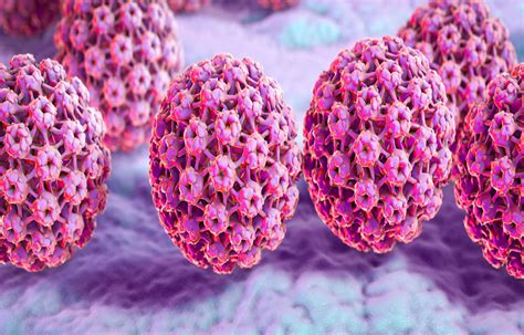 Hpv Subtype May Predict Outcomes In Head And Neck Cancers Finds Study