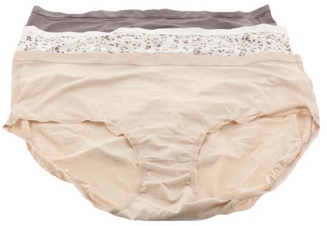 Breezies Silky Knit Full Brief Panties Set 4 Womens A382452 Walmart Canada