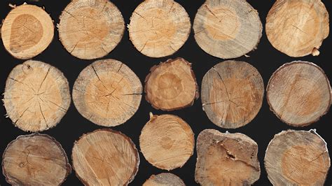 Artstation Texture Atlas Of The End Wooden Logs Resources