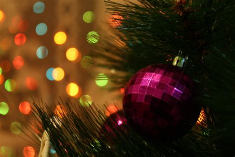 Christmas ornaments, Pine trees, Bokeh HD Wallpapers / Desktop and 