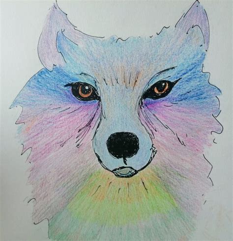 The Rainbow Wolf His Transfixing Eyes Deeply Gaze And Mesmorise