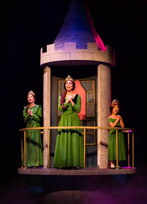 Shrek Shrek Costume Princess Fiona
