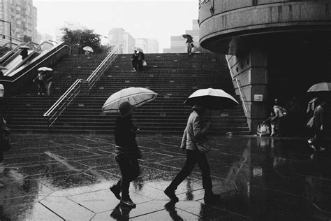 Free Images Walking Black And White People Road Street Rain City Umbrella Darkness