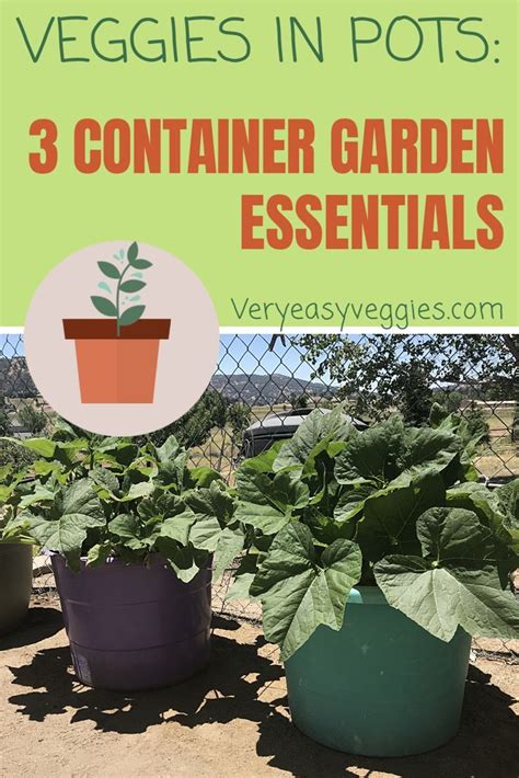 3 Essentials For A Successful Container Garden Vegetable Garden Soil
