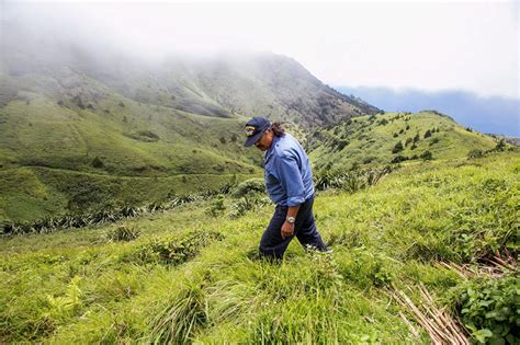 Ascension (countable and uncountable, plural ascensions). Island Conservation Engineering Ascension Island - Island ...