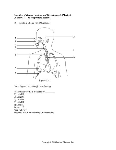 Ehap12e Ch 13 Test Bank Human Anatomy Test Bank Essentials Of