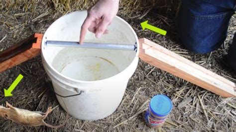 Diy Mouse Trap Uses Peanut Butter Then Lands Them In A Bucket Of Water