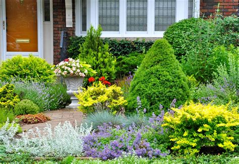 Add These Thorny Plants To Your Landscape To Boost Home Security Bob Vila