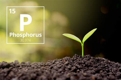Did Phosphorus Rich Lakes Help Kickstart Life On Earth Earth Earthsky
