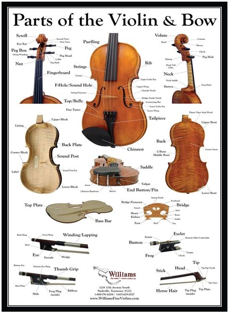 Parts Of The Violin And Bow Informative Sheet Violin Violin Sheet