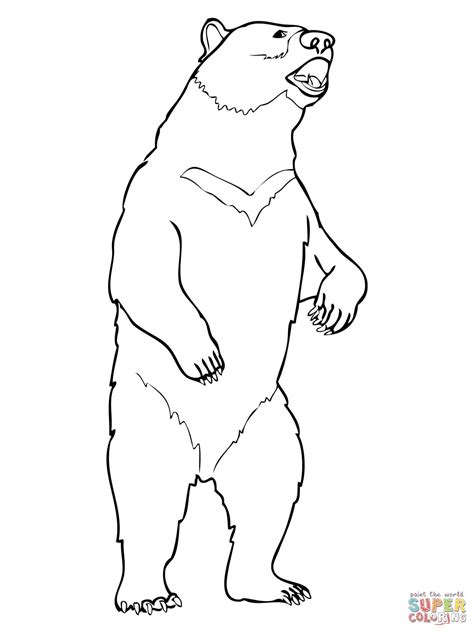 Coloringanddrawings.com provides you with the opportunity to color or print your bear grizzly drawing online for free. Moon Bear | Super Coloring | Bear coloring pages, Grizzly ...