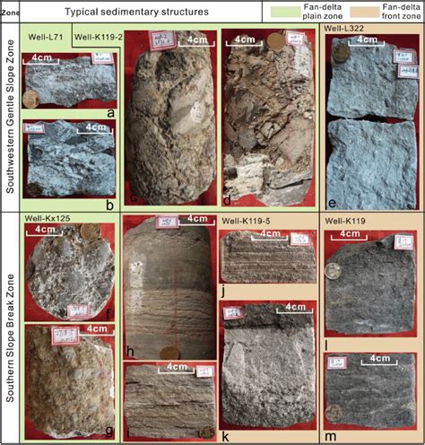 Typical sedimentary structures in third member of Shahejie Formation of