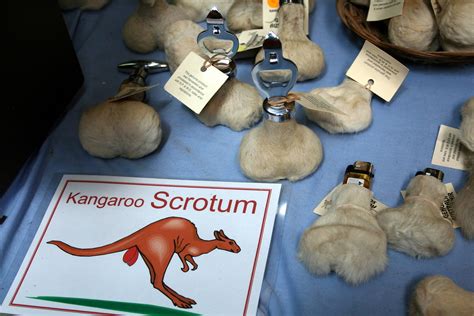 Kangaroo Scrotum Justin Flickr