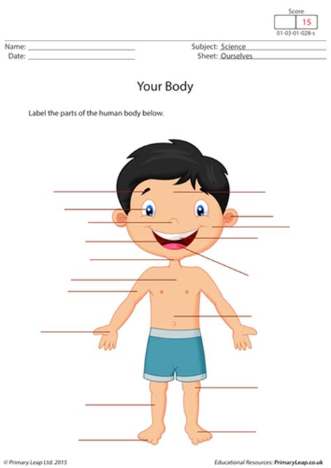 Labelling Parts Of The Human Body By Primaryleap Teaching Resources Tes