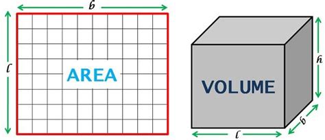 Difference Between Area And Volume With Comparison Chart Key