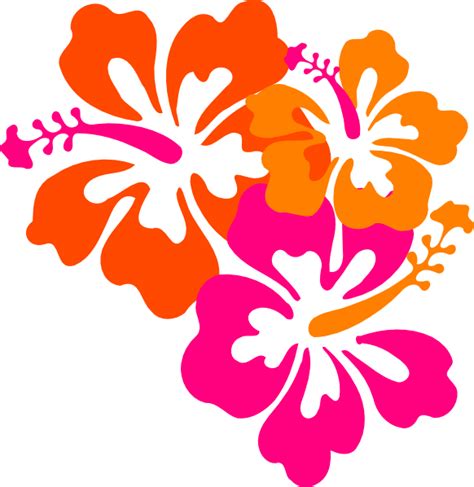 Orange Hibiscus Flower Clip Art Free Image Download