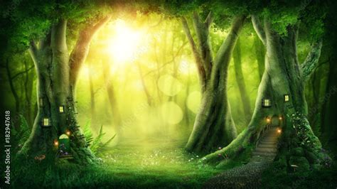 Dark Magic Forest Illustration Stock Adobe Stock