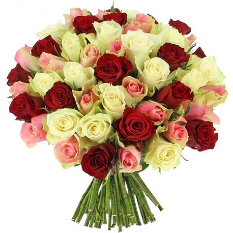 Livraison Roses Tendresse 25 Roses Bouquet De Roses Foliflora