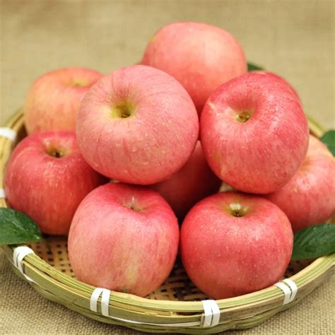 Fresh Fruits Red Fuji Appleschina Price Supplier 21food