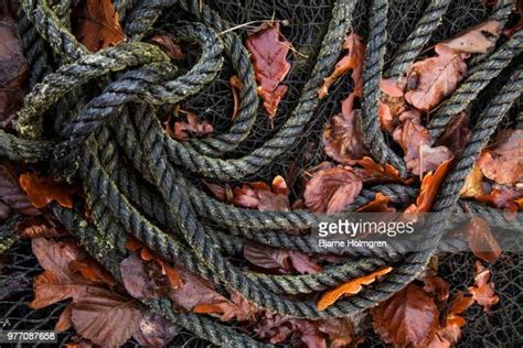 Nylon Rope Knots Photos And Premium High Res Pictures Getty Images