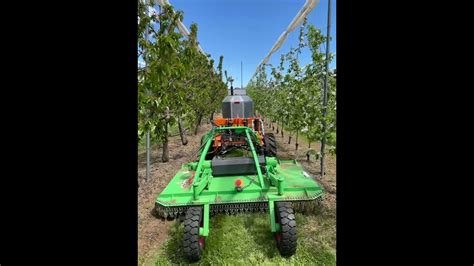 Swarmfarm Robot Mowing In Apple Orchards Youtube
