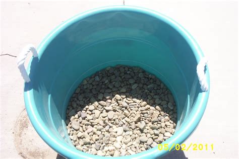 Growing tomatoes in plastic tubs. How Does My Garden Grow: Planting Tomatoes