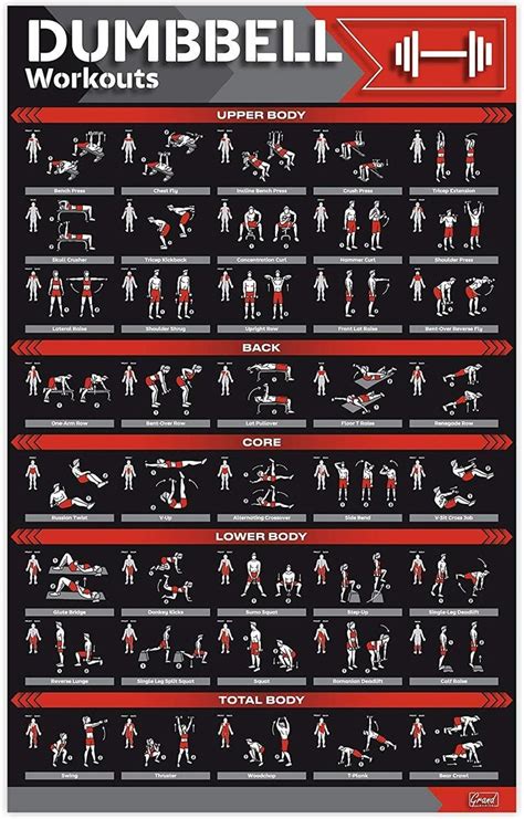 Palace Learning Dumbbell Workout Exercise Poster Free Weight Body Building Guide Home Gym Chart