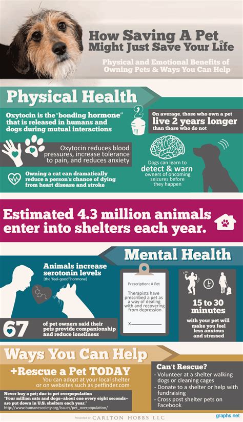 Benefits Of Pets Infographic Infographics