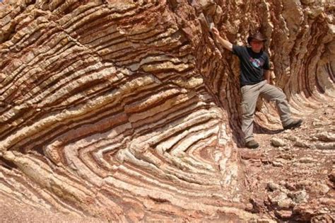 Types Of Geological Folds With Photos Geology In Geologia Fósseis