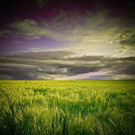 Green Field And Sunset Stock Photo Image Of Cloudscape 23382918