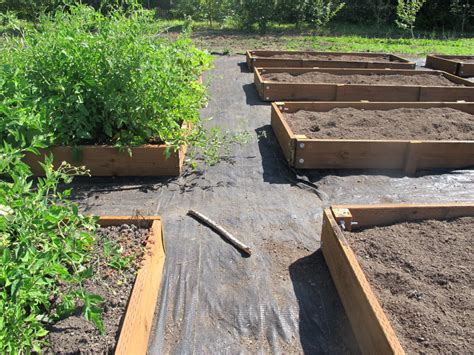 Raised Bed Gardening Osu Extension Service Offers Advice