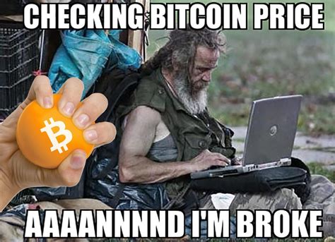 Top 5 Crypto Memes Amid Market Plunge Coinchapter