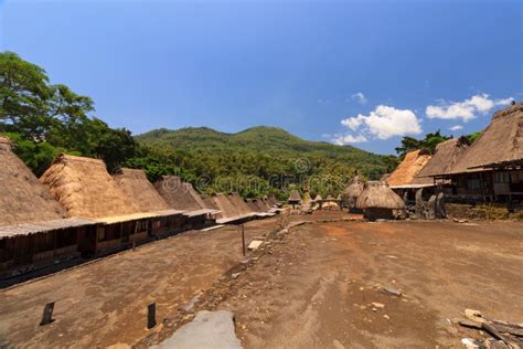 Pueblo Tradicional De Bena Cerca De Bajawa Flores Indonesia Foto De Archivo Imagen De