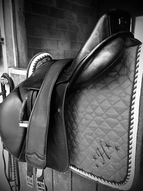 The Importance Of Saddle Fit Part Two The Anatomy And Structure Of