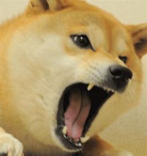 Angry Doge 2 Blank Template Imgflip