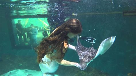Mermaid Aquarium Special Events Location Youtube