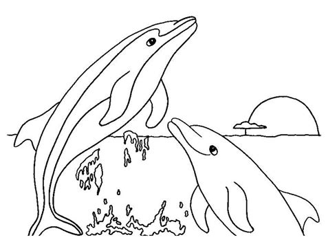 Desenho De Dois Golfinhos Brincando Para Colorir Tudodesenhos