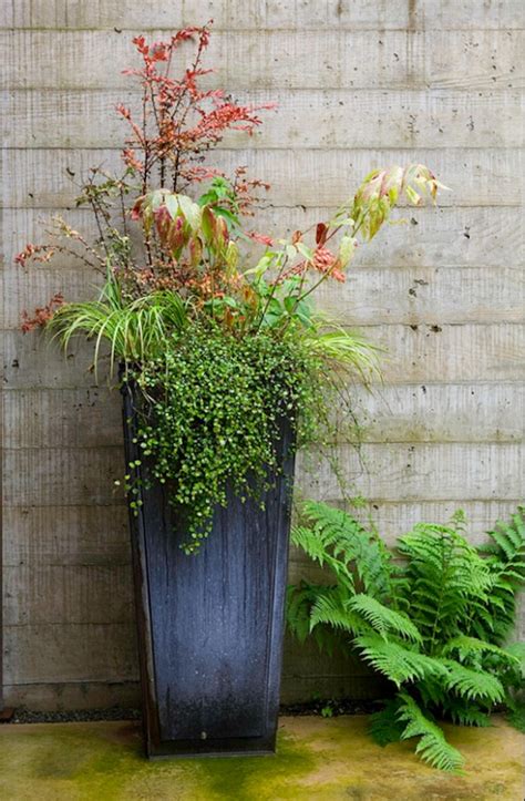 Large planters for indoor use drip trays available. 25 Inspirations of Tall Outdoor Potted Plants