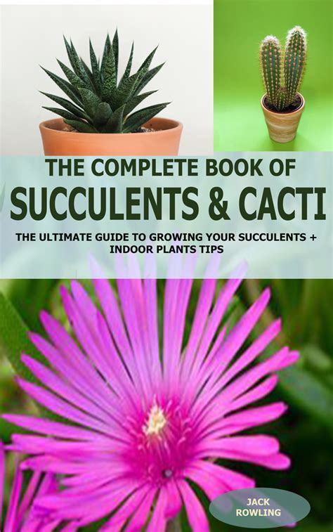 Read The Complete Book Of Succulent And Cacti Online By Jack Rowling Books