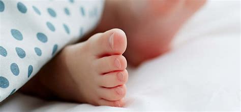 There are 20 calories in 3 oz (85 g) of fresh selections baby bella mushrooms. Vauvan nukkuminen - Ozbaby.fi verkkokauppa