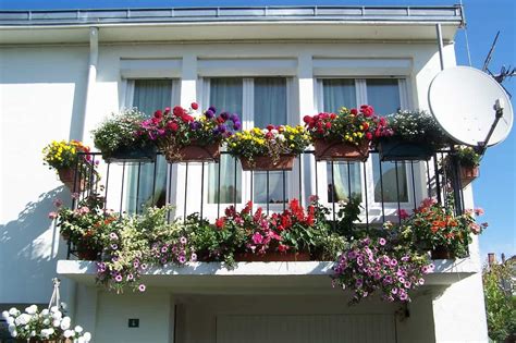 How To Create A Beautiful Flower Garden In The Balcony