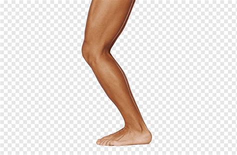 Human Leg Muscle Thigh Physical Exercise Female Side Legs Close Up