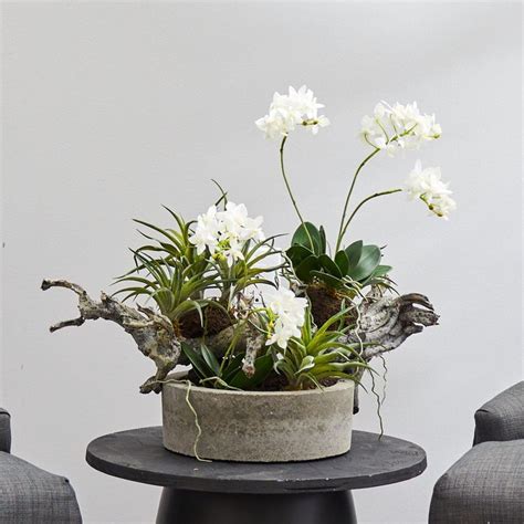 Orchid And Succulent Garden W Driftwood And Decorative Vase Nearly Natural Orchids Succulents