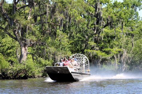 Small Or Large Airboat Swamp Tour Swamp Tours New Orleans