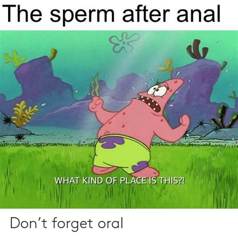 the sperm after anal what kind of place is this don t forget oral reddit meme on me me