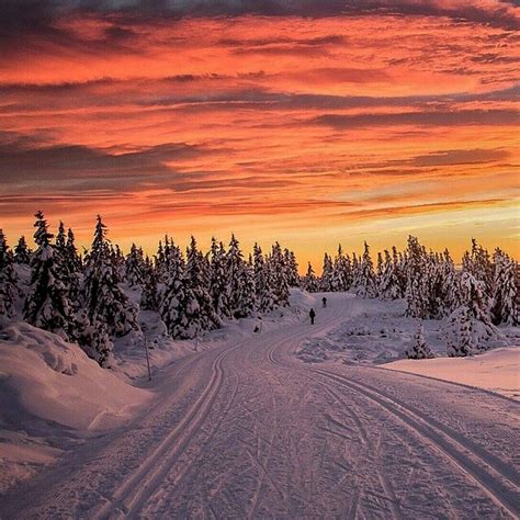 Winter Sunset 🌅🌅🌅 Lillehammer Norway Picture By Annemeide Have A